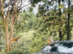 -重庆雨台山风景区