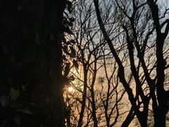 -紫金山天文台