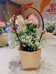 -臻康乃馨月子中心(集美店)