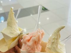 -野人先生Gelato(上海长宁龙之梦店)