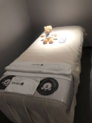 -三只熊皮肤管理中心旗舰店