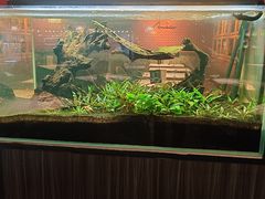 -清真·艾美可餐厅(鹏欣水游城店)