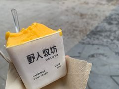 -野人先生现做冰淇淋(北京顺义祥云小镇店)