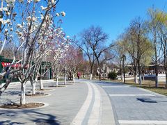 -西海子公园
