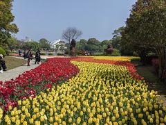 -上海鲜花港