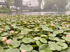 -东梓关景区村庄