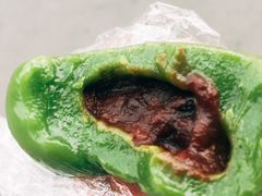 -上海紫彤友联生煎(金沙井店)