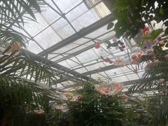 -金稼园·金平湖农家菜