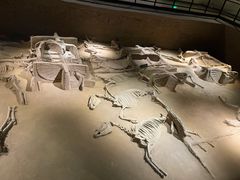 -洛阳周王城天子驾六博物馆