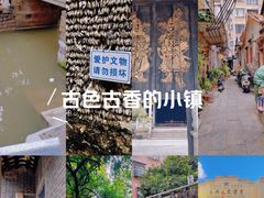 -小洲村