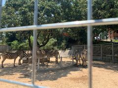 -泉州海丝野生动物世界