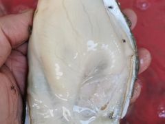 -蚝家菜馆(沙井店)