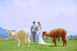 -金夫人婚纱摄影