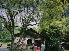 -村上春树