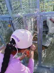 点击看大图 -萌宠亲子动物乐园(槐房万达店)