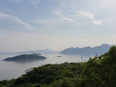 -花竹村