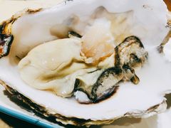 生吃生蚝-金太阳海鲜烧烤·本地人餐厅(星海公园店)