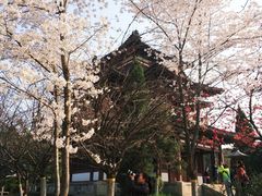 -西安青龙寺遗址景区