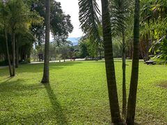 -中国科学院西双版纳热带植物园