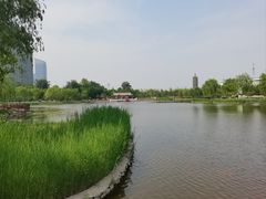 -西海子公园