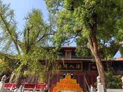 -宝通禅寺