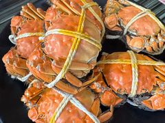 -水岸居湖景农家乐·阳澄湖大闸蟹