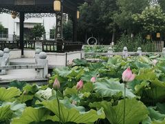 -丝绸小镇荻港古村