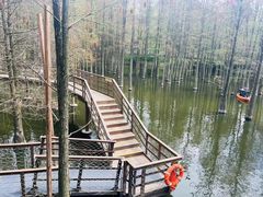-青山湖景区