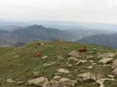 -灵山