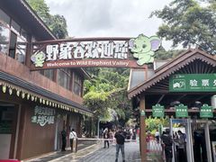 -野象谷景区