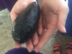 -东姑阿都拉曼海洋公园