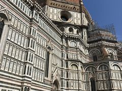 -圣母百花大教堂穹顶