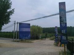 -北京东方普罗旺斯薰衣草庄园