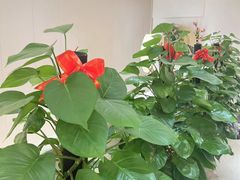 -手舒·采耳按摩·影院足道spa(莫愁湖东路店)