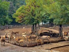 -石家庄市动物园