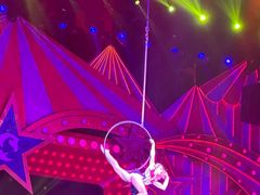 -珠海横琴长隆《卡卡虎奇遇记》