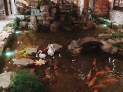 -鱼满舱·鲜活海鲜·正宗鲁菜