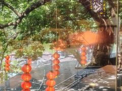 -侨美·唐荔园·40年地道粤菜