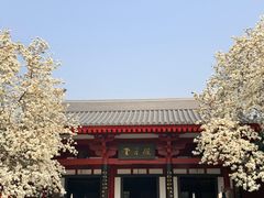 -大慈恩寺(大雁塔)