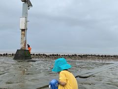 -南汇嘴观海公园