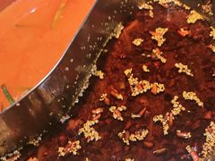 -胖子鱼·天水麻辣鱼火锅(秦州407店)