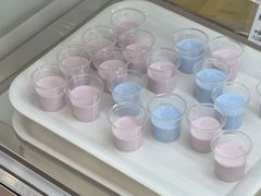 -白色日记·手作酸奶(麦凯乐店)