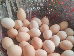 -马陆小张葡萄园农家乐