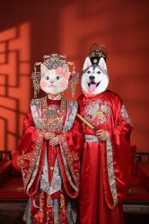 -金夫人婚纱摄影(华南店)