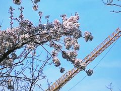 -龙美术馆(西岸馆)