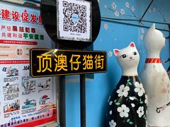 -猫咪博物馆(顶澳仔猫街店)