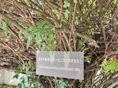 -北京鲁迅博物馆(北京新文化运动纪念馆鲁博馆区)