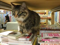 -小时光咖啡馆(开森度假森林店)