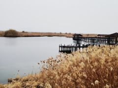 -苏州太湖湖滨国家湿地公园