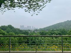 -西湖风景区-江洋畈生态公园